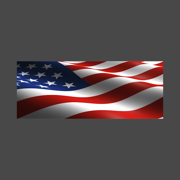 American Flag by Torygretchen