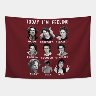 Funny Feelings Tapestry