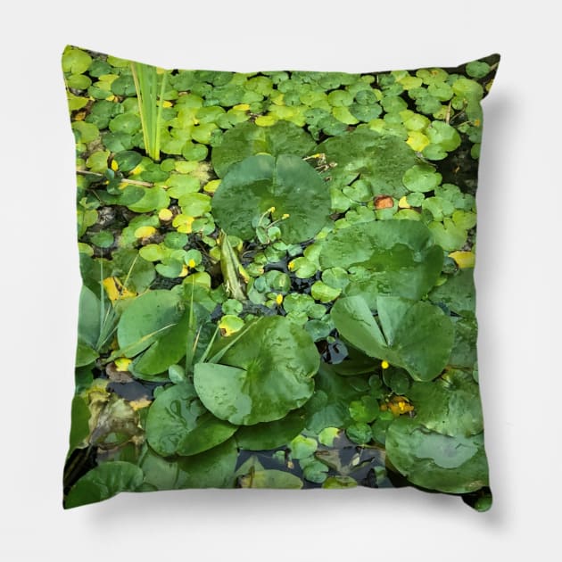 Lilly Pads Pillow by Ruminations