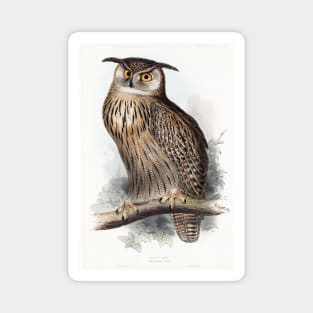 Vintage Owl Illustration Magnet