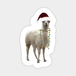 Christmas Llama Magnet