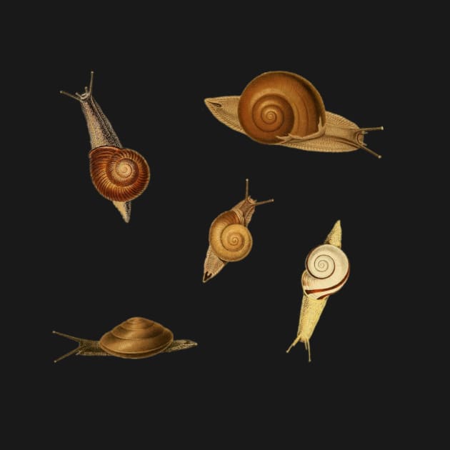 Vintage Garden Snails by softbluehum