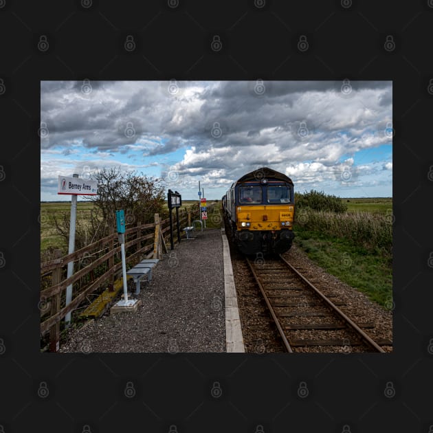 Class 66 at Berney Arms by Robert john