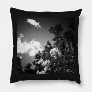 lomo gardens black and white Pillow