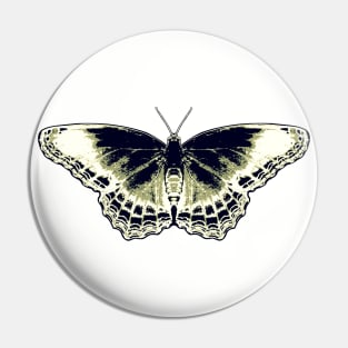 Awe-Inspiring Butterfly Pin