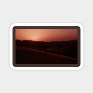 Desert Sunset 5 Magnet