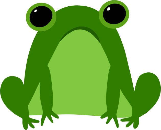 Froggy Frog Kids T-Shirt by novabee