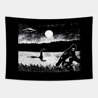 ufo is telling the truth Tapestry