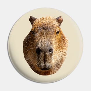 Just a Capybara Pin