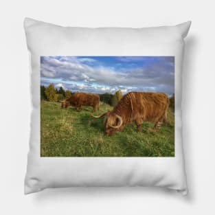 Scottish Highland Cattle Cows 1560 Pillow