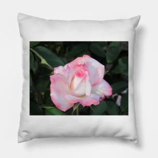 Light Pink Rose Pillow