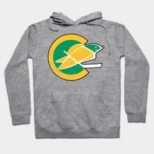 Pier 39 Sea Lions, San Francisco San Francisco Pullover Hoodie | Redbubble