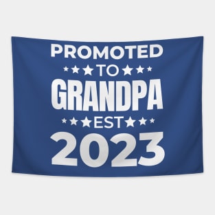 Promoted to grandpa 2023 Tapestry