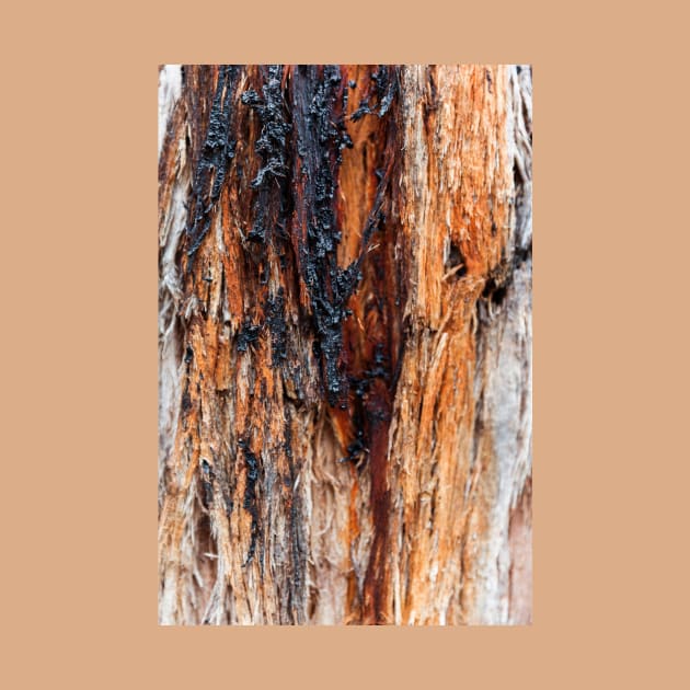 Vibrant Tree Oozing Sap From Trunk - Alternative III by textural