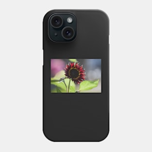 Sun Fire II Phone Case