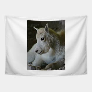 Glacier National Park Rocky Mountain Sheep Tapestry