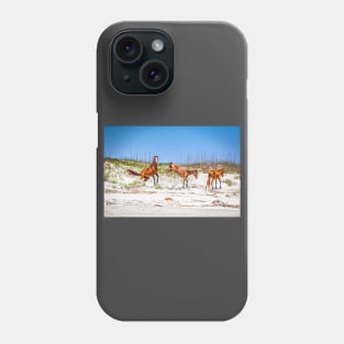 Wild Horses at Cumberland Island National Seashore Phone Case