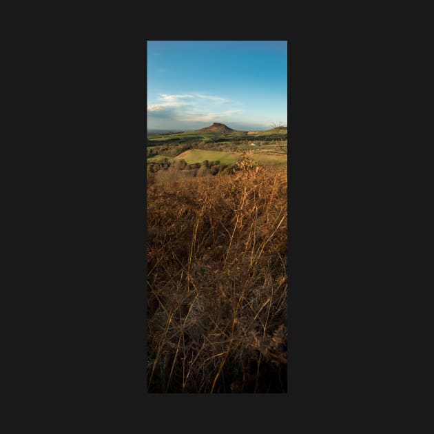 Roseberry Topping by davehudspeth