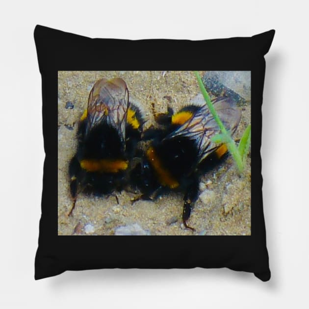 Two Cute Bumble Bees Pillow by KaSaPo