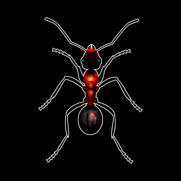 Fire Ant by crunchysqueak