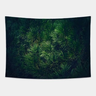 dark green pine texture Tapestry