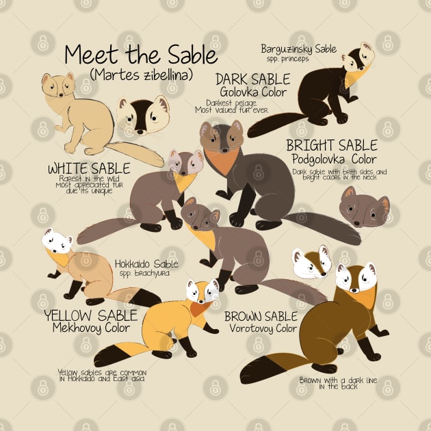 Meet the sable marten by belettelepink