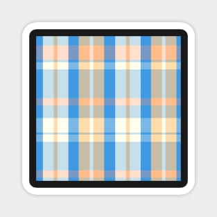 Spring Aesthetic  Aillith 1 Hand Drawn Textured Plaid Pattern Magnet