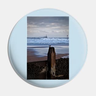 Sanderling on a post Pin