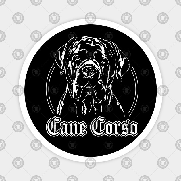 Cane Corso Italiano Dog Portrait