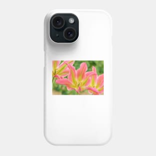 Tulipa &#39;Virichic&#39; Viridiflora Group Tulip Phone Case