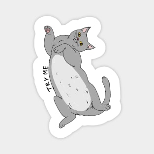 Try me kitty Magnet