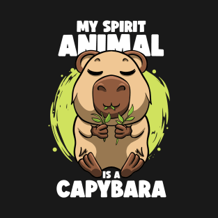 Don't Worry be Capy Funny Capybara Face Zoo Rodent Capybaras T-Shirt