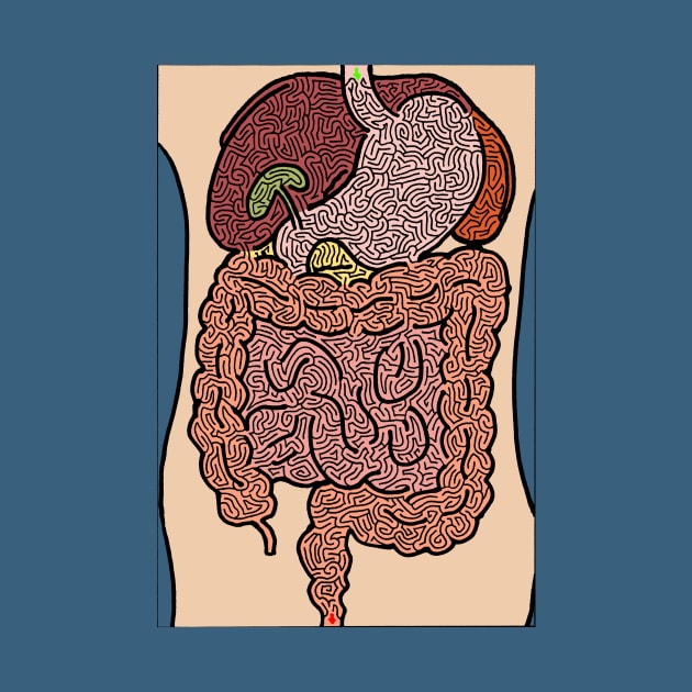 Digestive System Maze by AiXeLsyD13