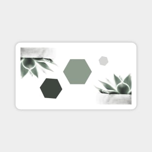 Succulents and hexagons Magnet