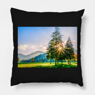 Sunburst Pillow