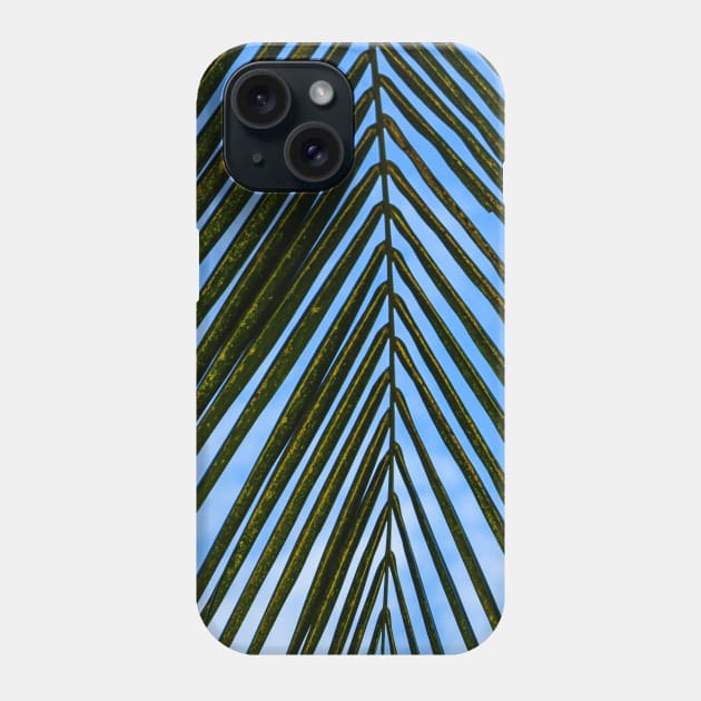 Tropical Palm Leaf Phone Case by M.Scarrow.Photography