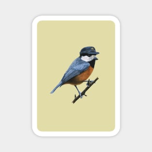 Varied tit Magnet