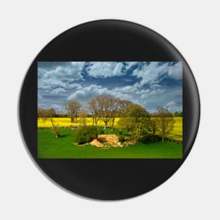 Fields, Trees and Cloudy Sky Pin