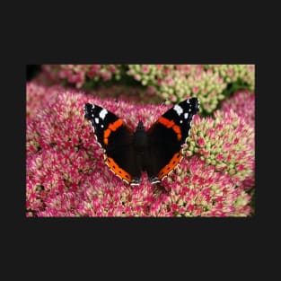 Red Admiral T-Shirt
