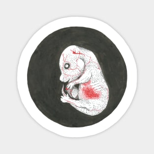 Rat embryo Magnet