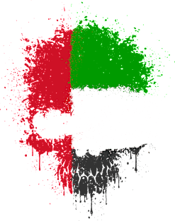 Chaotic UAE Flag Splatter Skull Magnet