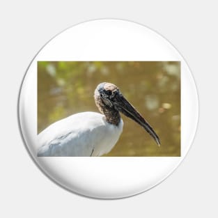 Wood stork in  wildlife preserve Pin