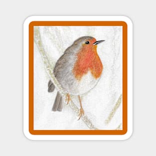 Winter Robin Magnet