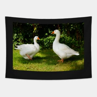 Two White Geese - Each Goose Looking At The Other Tapestry