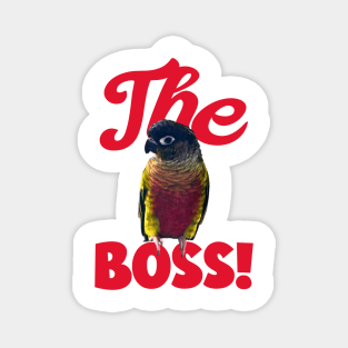 The Boss Green Cheek Conure Parrot Bird, Love for birds Magnet