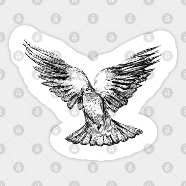 Pigeon or Dove Flying With Cane Drawing on Behance