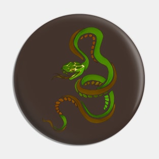 Green and Brown Snake Pin