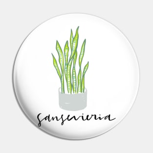 Sansevieria (aka snake plant) Pin