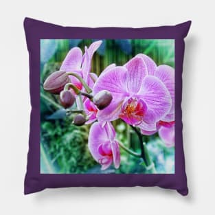 Pink Orchid flowers. Botanical art Pillow