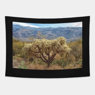 Chain-fruit Cholla Tapestry